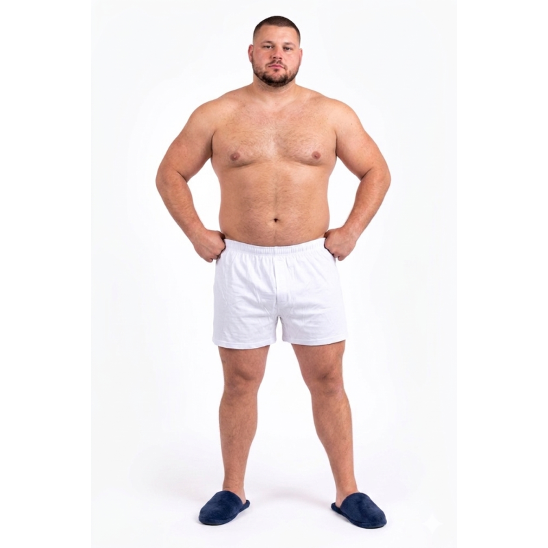 Boxer Maxfort 250