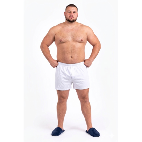 Boxer Maxfort 250