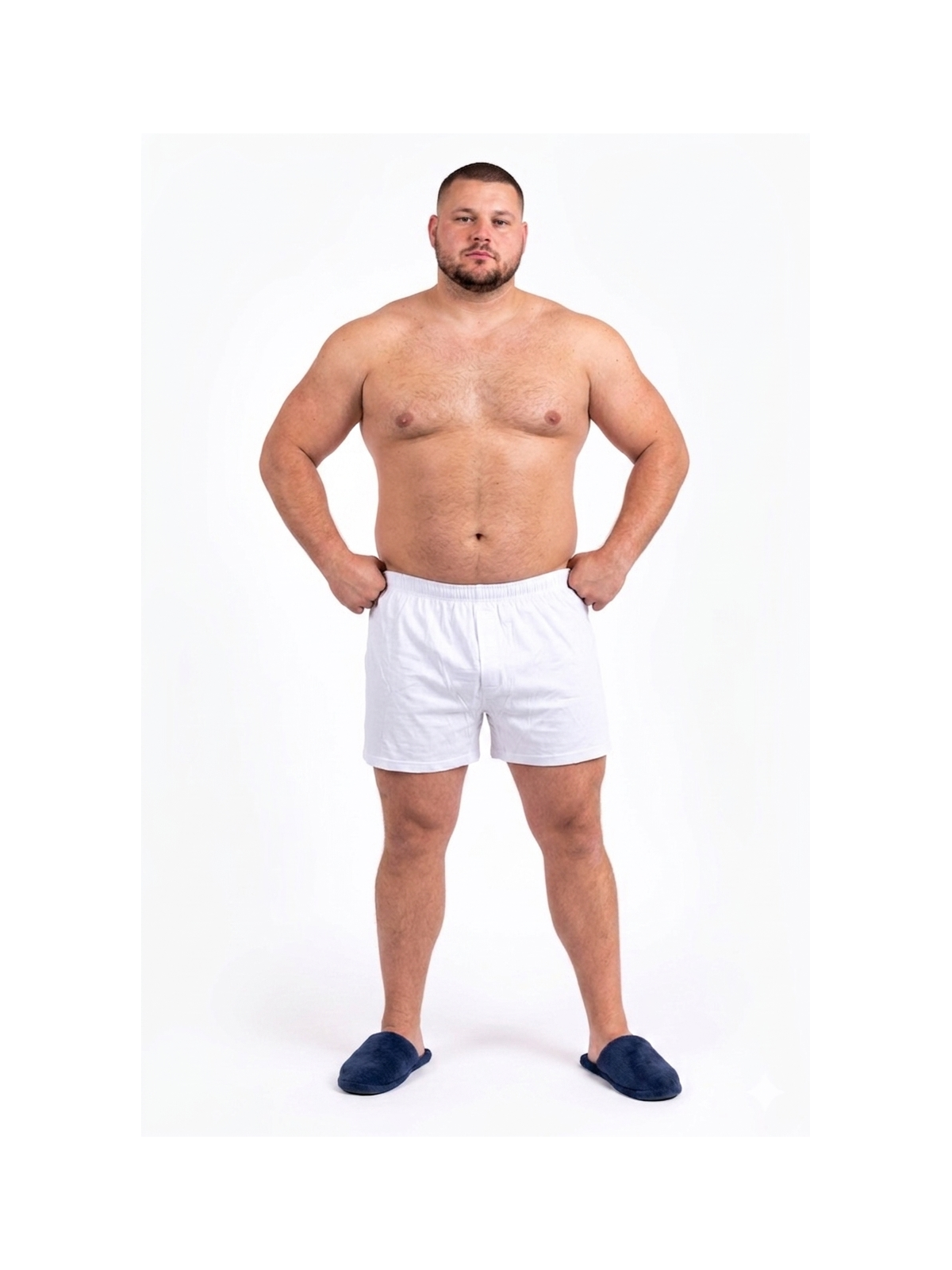 Boxer Maxfort 250