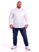 CAMICIA DI LINO MAXFORT